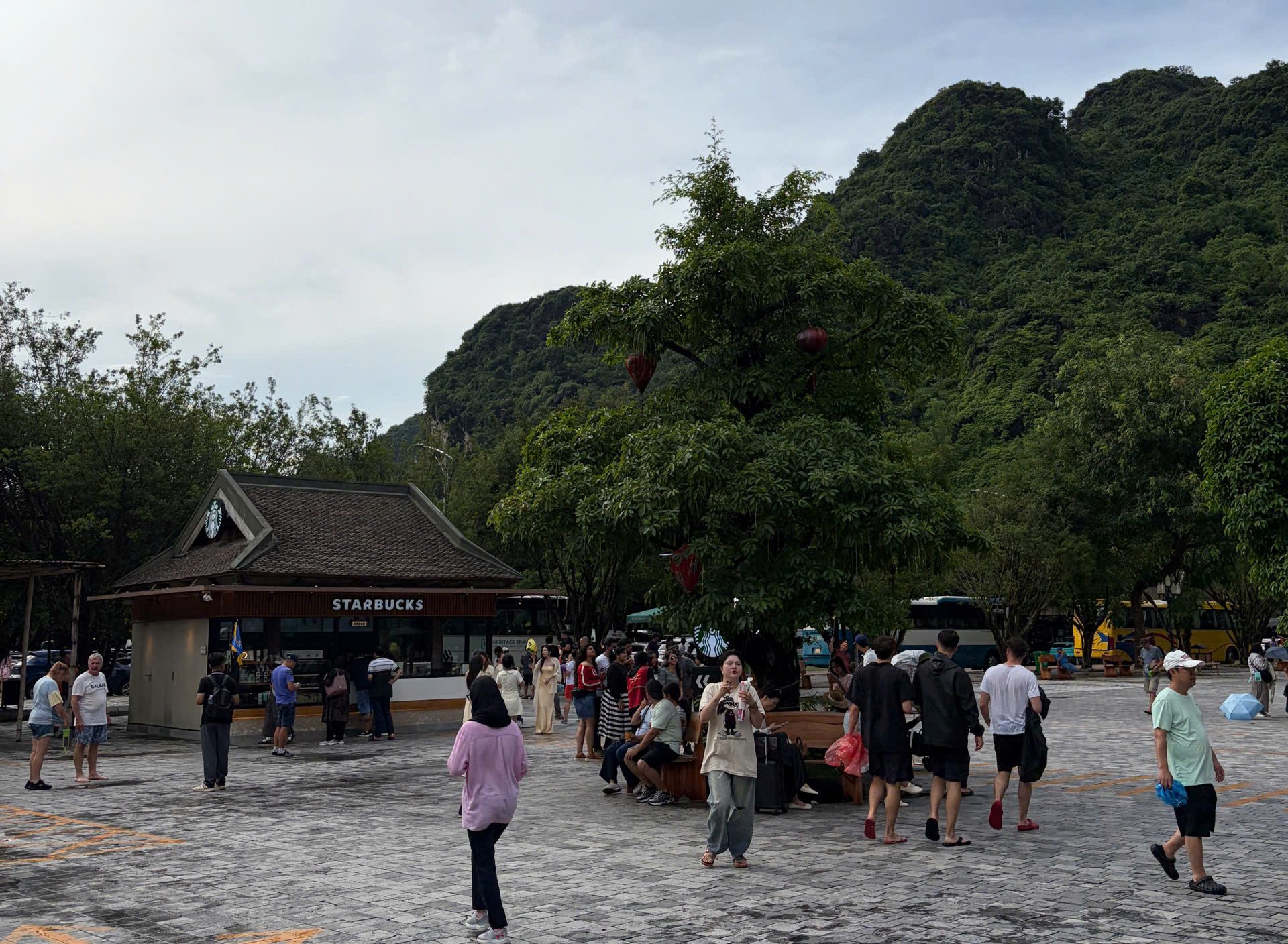Lắp đặt máy khử mùi AC-30 tại Tràng An.